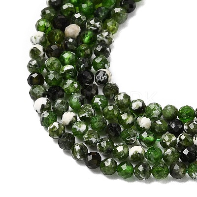 Natural Diopside Beads Strands G-G188-B14-03-1