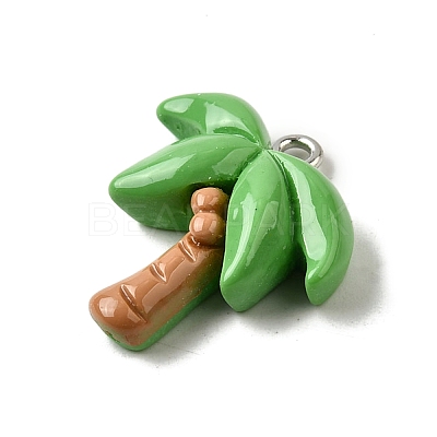 Summer Theme Resin Pendants CRES-D307-09P-C-1