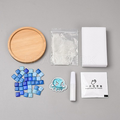 DIY Mosaic Coaster Making Kit TH-CBAB785-01I-1