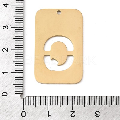 304 Stainless Steel Pendants STAS-D200-01Q-G-1