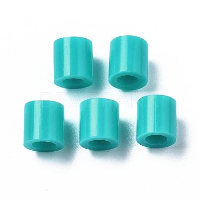 PE Fuse Beads DIY-R013-88-1