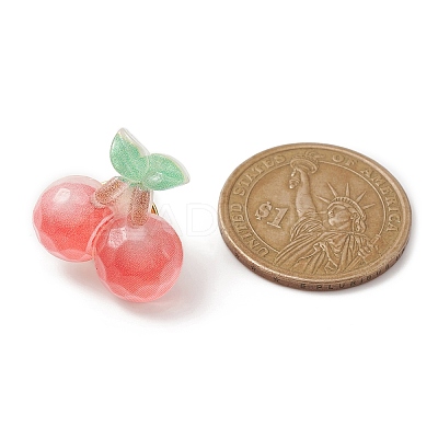 Resin Fruit Brooches JEWB-BR00108-1