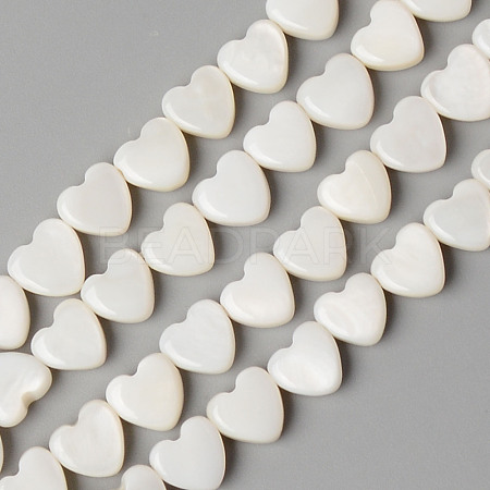 Natural Freshwater Shell Beads Strands SHEL-N026-71-1