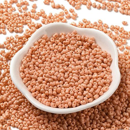 Baking Paint Glass Seed Beads SEED-K009-01B-13-1