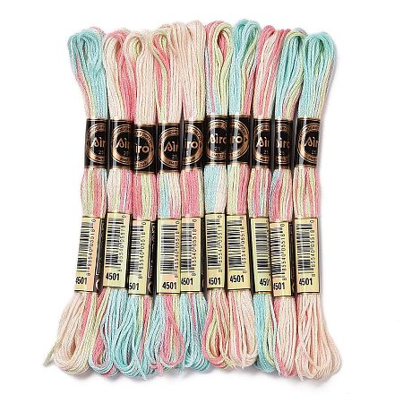 10 Skeins 6-Ply Polyester Embroidery Floss OCOR-K006-A74-1