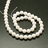 Shell Pearl Beads Strands BSHE-E008-14mm-12-3