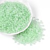 Baking Paint Glass Seed Beads GLAA-T023-43B-3