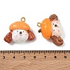 Handmade Polymer Clay Pendants PY-CBABDB7-11A-3