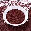 MIYUKI Delica Beads SEED-X0054-DB2120-3