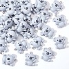30Pcs Resin Pendants RESI-WR0001-16-1