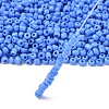 8/0 Glass Seed Beads X1-SEED-A010-3mm-43B-3