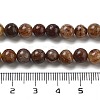 Natural Gemstone Beads Strands G-H045-A01-10MM-5