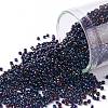 TOHO Round Seed Beads X-SEED-TR15-0082-1