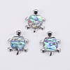 Abalone Shell/Paua Shell Pendants SSHEL-L008-14A-1