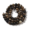 Natural Chiastolite Beads Strands G-Q161-A03-03-3