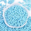Baking Paint Glass Seed Beads X1-SEED-K010-A20-3