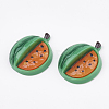 Resin Cabochons CRES-S358-10-1