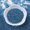 MIYUKI Delica Beads SEED-X0054-DB0149-2