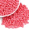 Baking Paint Glass Seed Beads SEED-C004-01N-3