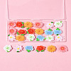 24Pcs 6 Styles Opaque Resin Flowers Cabochons RESI-FS0002-16-8