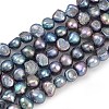 Natural Cultured Freshwater Pearl Beads Strands PEAR-P064-20B-02B-2