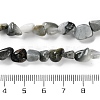 Natural Eagle Eye Stone Beads Strands X-G-P497-01C-52-5