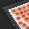 Centaurea Iberica Embossing Dried Flower DIY-K032-65C-4