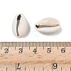 Natural Cowrie Shell Beads LS-X-BSHE-O007-73-4