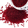 15/0 Transparent Czech Glass Seed Beads SEED-N004-004-26-1