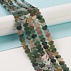 Natural Indian Agate Beads Strands G-M403-A11-2