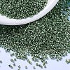 MIYUKI Delica Beads SEED-X0054-DB1845-1