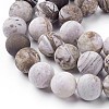 Natural America Petrified Wood Beads Strands G-P430-03-D-3