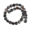 Natural Glaucophane Beads Strands G-C141-E01-03-3