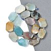 Natural Flower Amazonite Beads Strands G-B125-P03-01-2