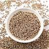 12/0 Electroplate Glass Seed Beads SEED-Q003-01-1