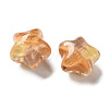 Gradient Color Transparent Hand-drawed Acrylic Beads TACR-P012-01B-05-2