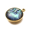 304 Stainless Steel Pave Natural Paua Shell Pendants STAS-Z125-01E-G-2