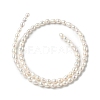 Natural Cultured Freshwater Pearl Beads Strands PEAR-C004-03-3