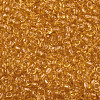 8/0 Glass Seed Beads X-SEED-A004-3mm-2-2