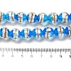 Lampwork Beads Strands LAMP-E036-07D-4