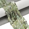 Natural Prehnite Beads Strands G-P497-01E-39-2