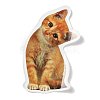 50 Pieces Realistic Paper  Stickers STIC-R001-22-2