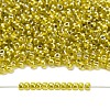 TOHO 8/0 Round Beads SEED-XTR08-1013-4