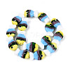 Handmade Lampwork Beads Strands LAMP-N036-15A-2