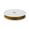 Tiger Tail Wire X-L0.38mm07-1