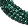 Natural Malachite Beads Strands G-H336-A07-02-4