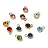 12Pcs Birthstone 304 Stainless Steel Charms STAS-H247-01G-1