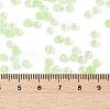 6/0 Luminous Glass Seed Beads SEED-NH0001-01H-5