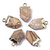 Natural Picture Jasper Pointed Pendants G-N326-34I-1