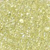 Glass Seed Beads SEED-K009-04A-02-3